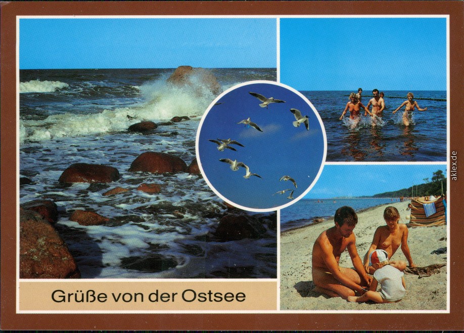 37++ Ddr fkk an der ostsee bilder , FKK DDR Grüße von der Ostsee Möwen, Wellen, Strand belebt 1987 eBay