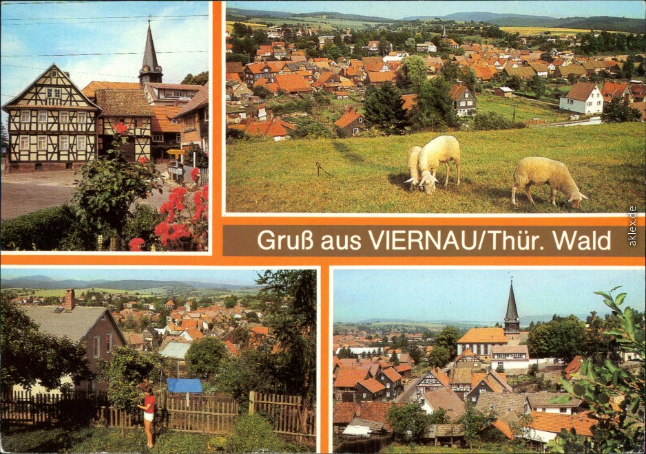 vergrößern: Bildseite historische Ansichtskarte von 1986: Kirche, Weide mit Pferden, Panorama:: Viernau