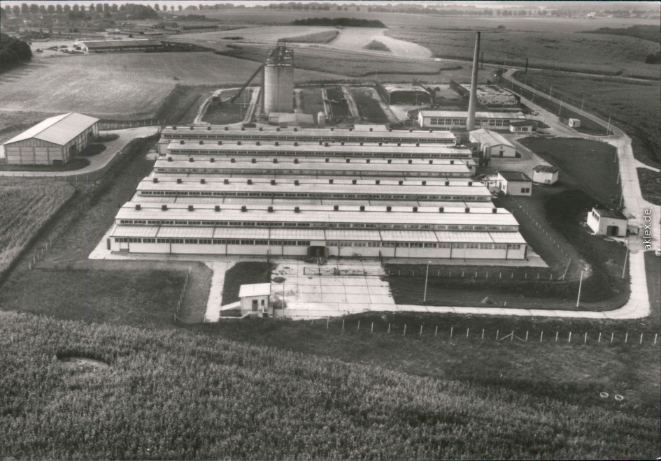 zoom: Image side vintage Postcard from 1979: Luftbild - Milchviehanlage:: Leezen