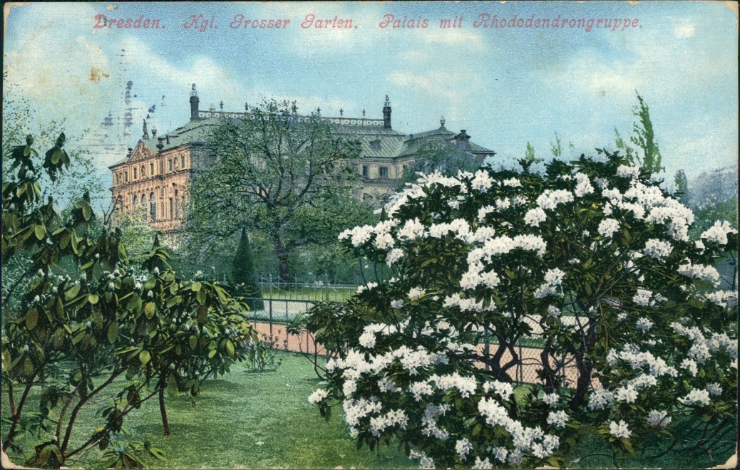 zoom: Image side vintage Postcard from 1910: Palais im Großen Garten mit Rhododendrongruppe:: Dresden