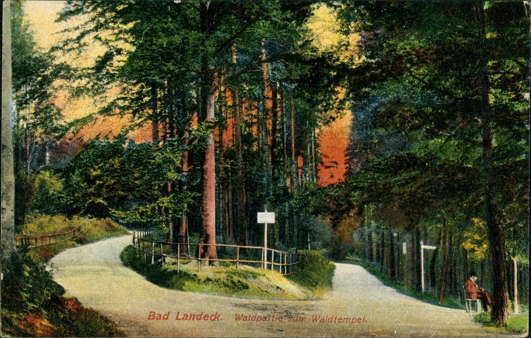 vergrößern: Bildseite historische Ansichtskarte von 1922: Waldpartie zum Waldtempel:: Bad Landeck