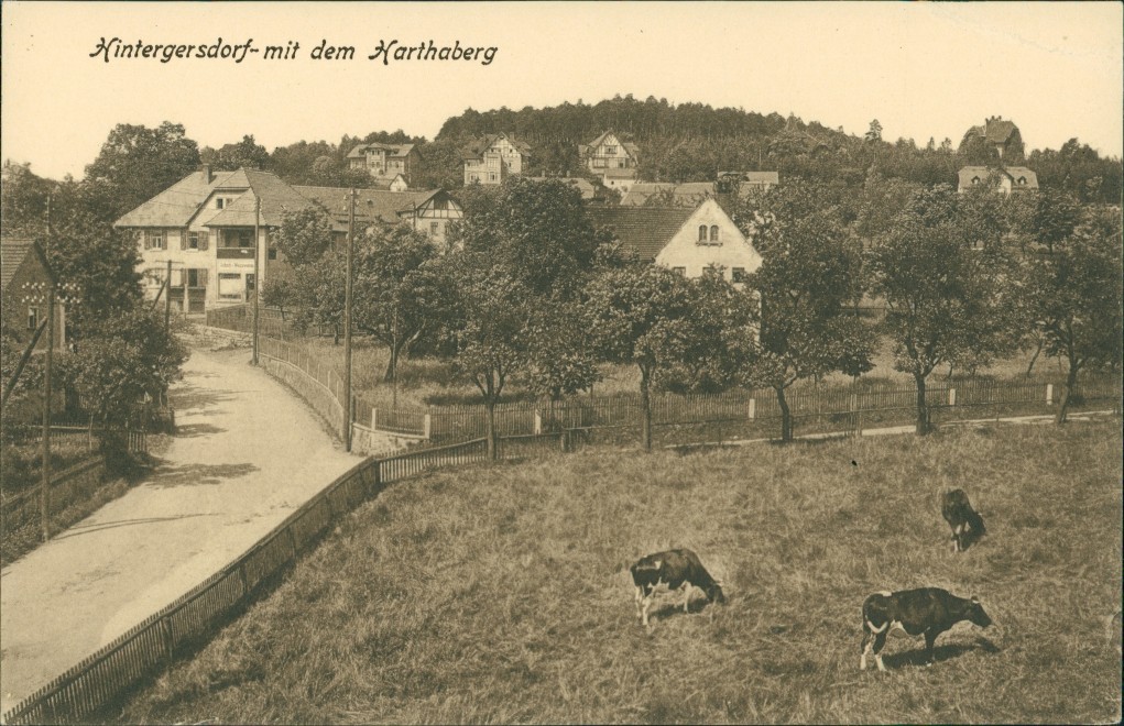 vergrößern: Bildseite historische Ansichtskarte von 1922: Straßenpartie:: Hintergersdorf-Tharandt