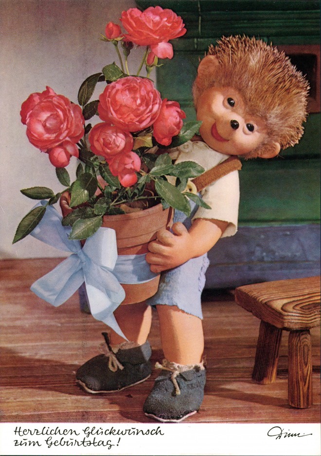 vergrößern: Bildseite historische Ansichtskarte von 1970: Mecki (Diehl-Film): Glückwunsch Geburtstag: Rosenblumentopf::