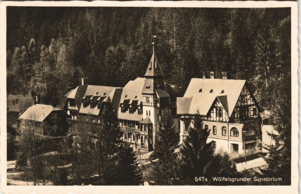 vergrößern: Bildseite historische Ansichtskarte von 1931: Blick auf das Sanatorium:: Wölfelsgrund