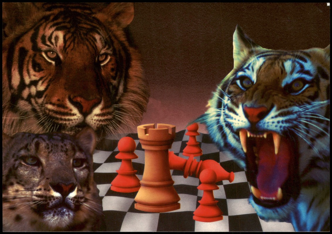 vergrößern: Bildseite historische Ansichtskarte von 1997: Künstlerkarte Tiger Schach Chess - Spiel  Ftacnik Cvitan::