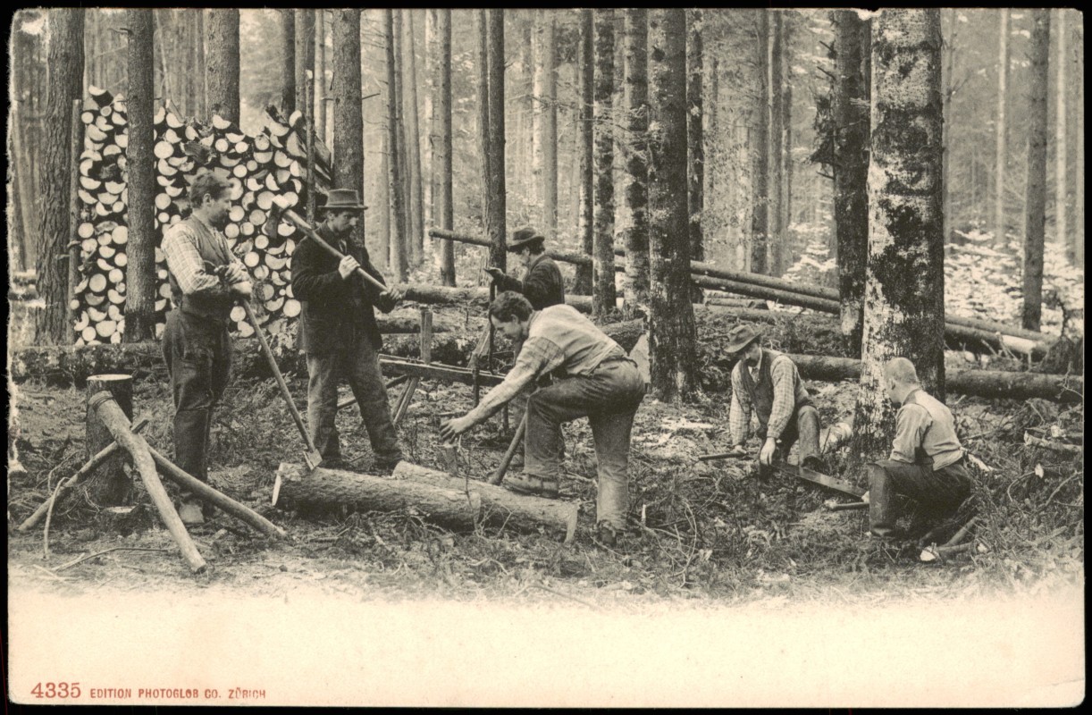 Schweiz Helvetia Suisse Holzf Ller Im Wald Typen Ak Schweiz