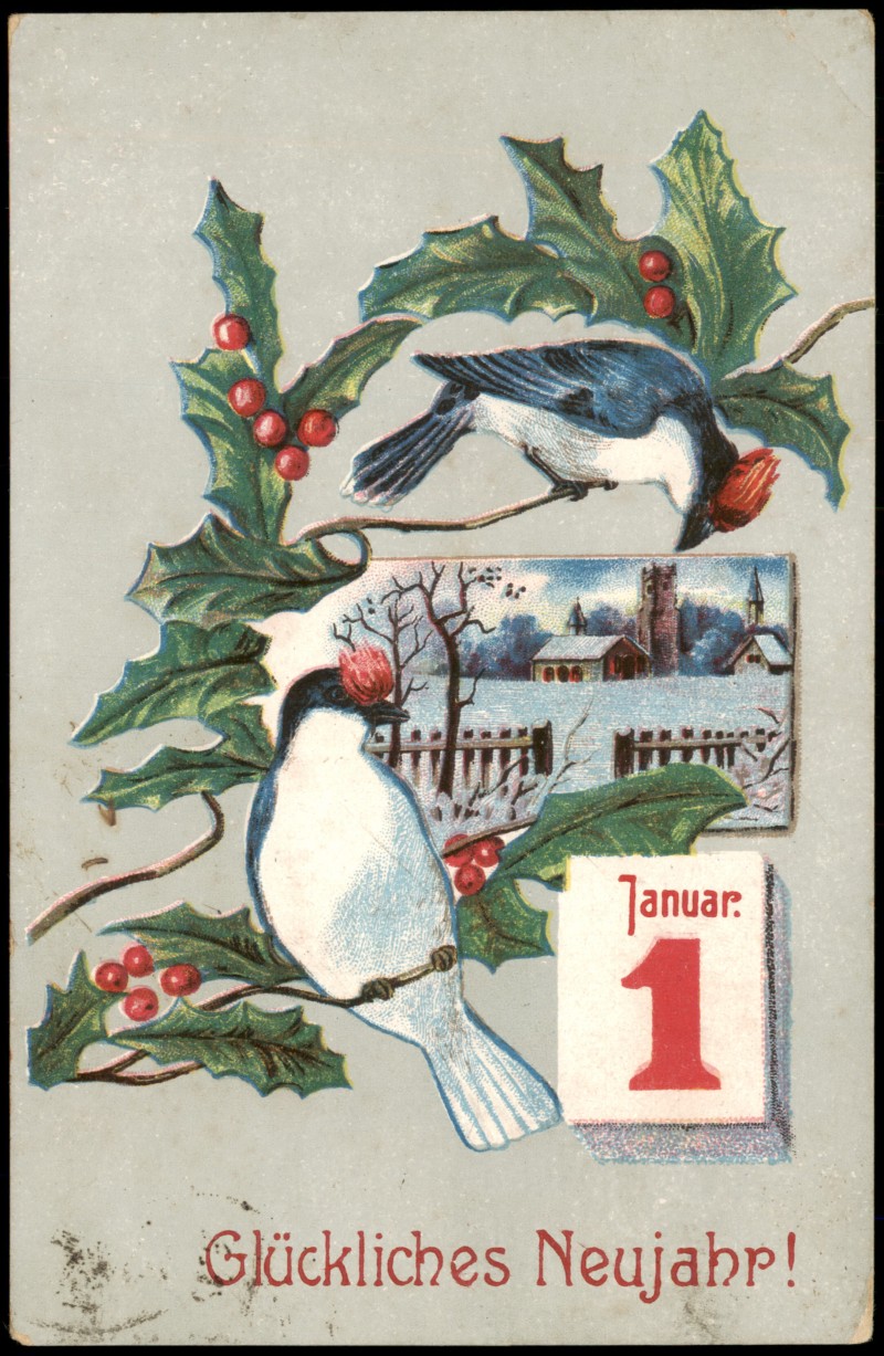 zoom: Image side vintage Postcard from 1917: Neujahr Sylvester New Year: Vögel, 1. Januar, Glückwunsch-AK::