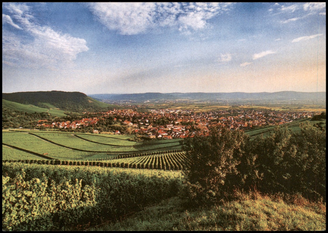 zoom: Image side vintage Postcard from 1990: Korb im Remstal Panorama von den Weinbergen aus::