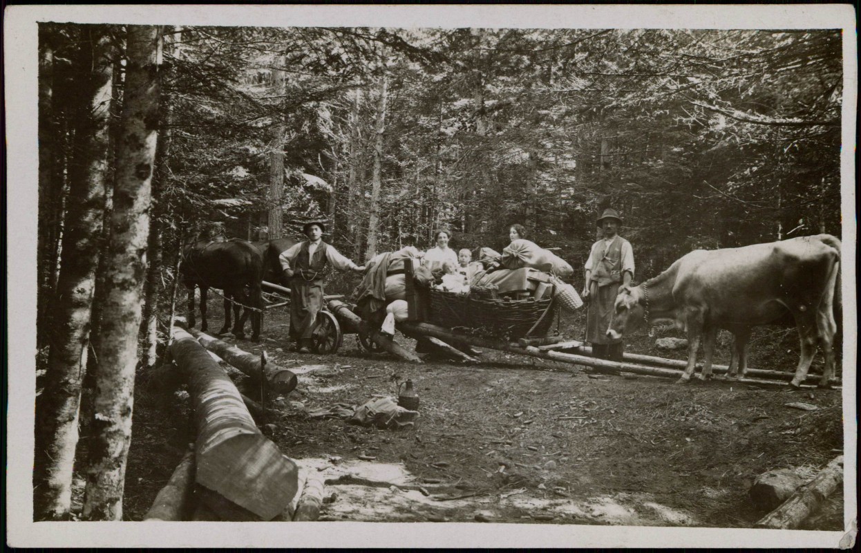 zoom: Image side vintage Postcard from 1916: Berufe Holzfäller mit Familie und Ochsengespann im Wald::