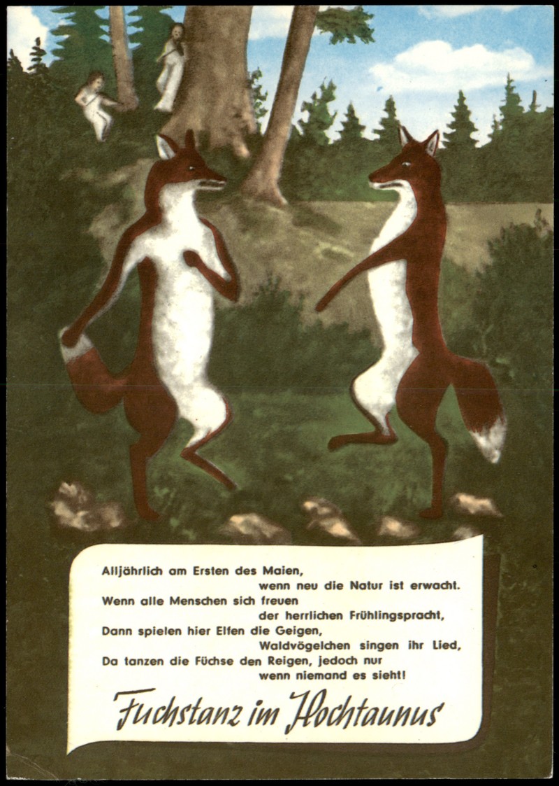 zoom: Image side vintage Postcard from 1980: Motivkarte Füchse beim Tanzen Restaurant FUCHSTANZ im Taunus:: .Hessen