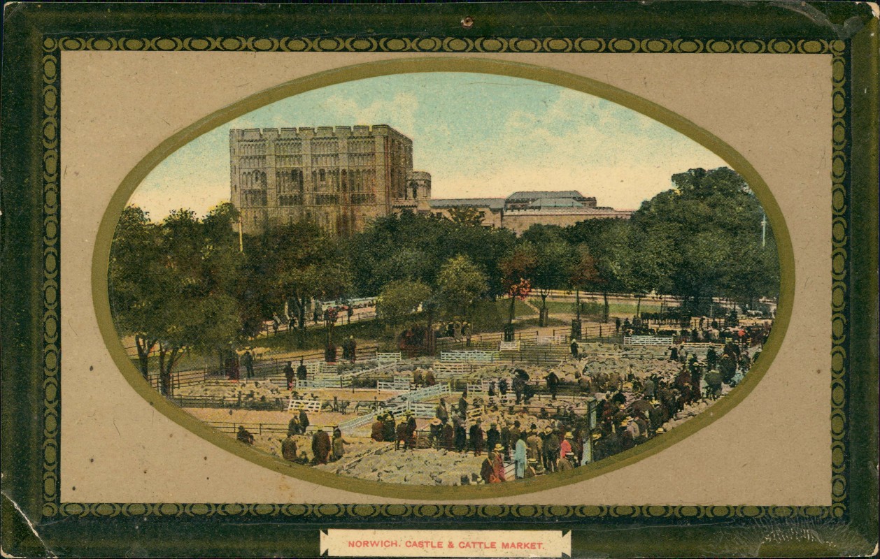 vergrößern: Bildseite historische Ansichtskarte von 1911: Castle & Cattle Market:: Norwich
