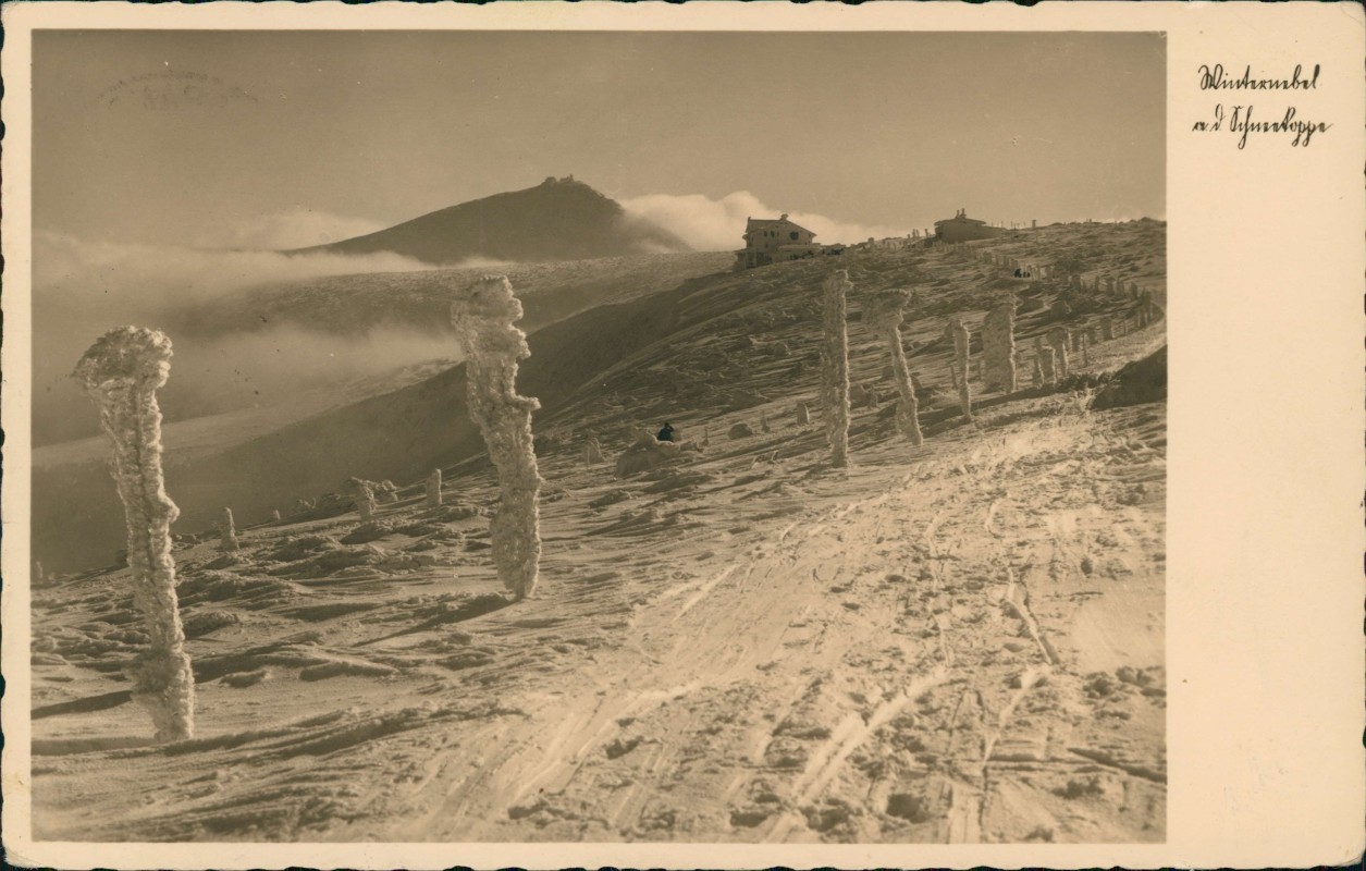 vergrößern: Bildseite historische Ansichtskarte von 1947: Prinz-Heinrich-Baude im Winter Riesengebirge:: Krummhübel