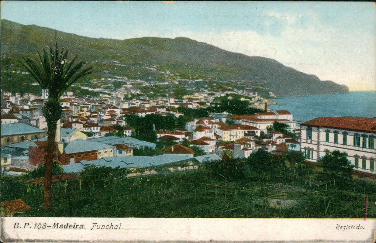 zoom: Image side vintage Postcard from 1912: Stadtblick  - Madeira:: Funchal