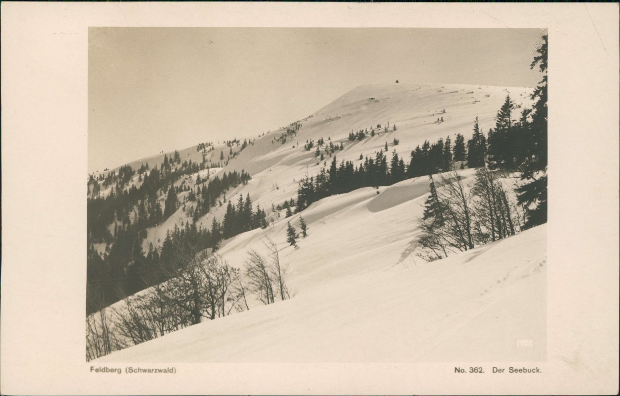 vergrößern: Bildseite historische Ansichtskarte von 1929: Der Seebuck im Winter Feldberg Schwarzwald:: Feldberg (Schwarzwald)