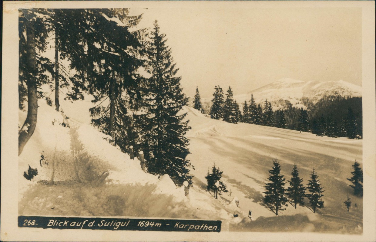 zoom: Image side vintage Postcard from 1917: Karpaten Карпати Karpaty Suligul Winter:: Romania