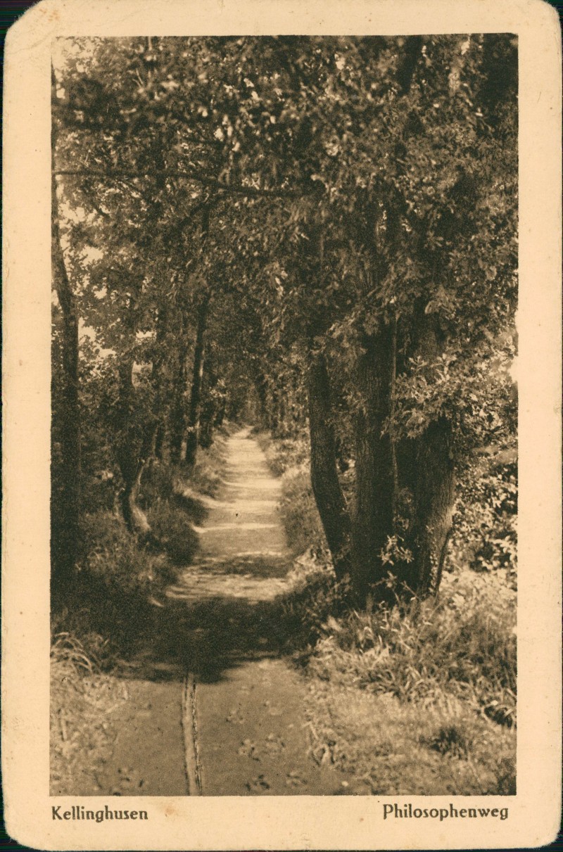 zoom: Image side vintage Postcard from 1915: Umland-Ansicht Philosophenweg:: Kellinghusen