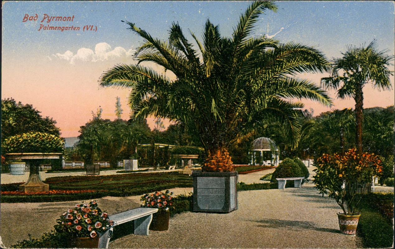 vergrößern: Bildseite historische Ansichtskarte von 1914: Palmengarten VI.:: Bad Pyrmont