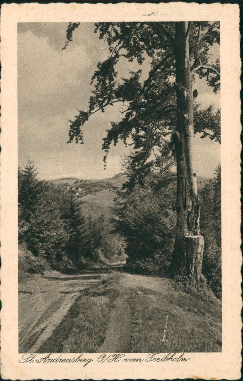 zoom: Image side vintage Postcard from 1928: vom Freiholz - Weg:: Sankt Andreasberg-Braunlage
