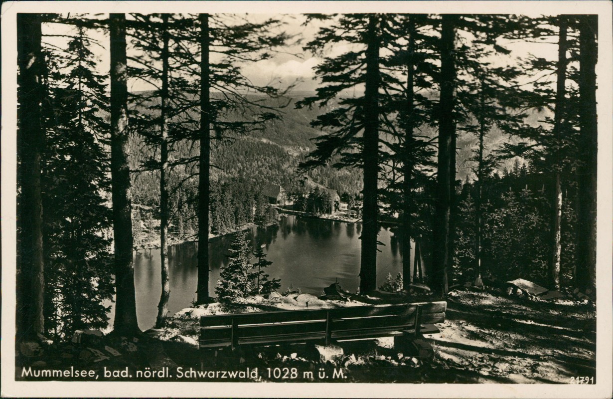 vergrößern: Bildseite historische Ansichtskarte von 1939: Mummelsee Parkbank im Wald:: Achern