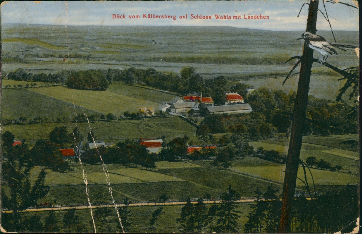 vergrößern: Bildseite historische Ansichtskarte von 1918: Blick vom Kälbersberg auf Schloss Wohla mit Ländchen:: Elstra