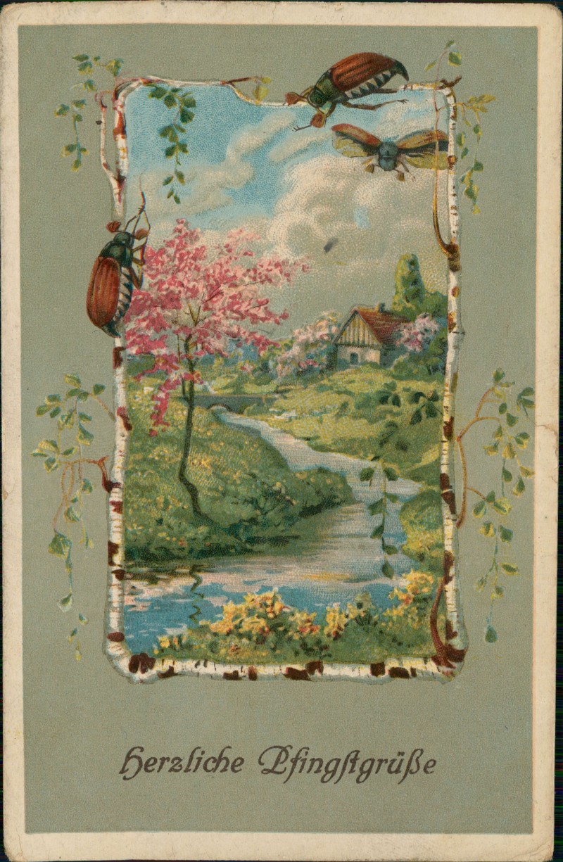 vergrößern: Bildseite historische Ansichtskarte von 1912: Pfingsten Pentecost Maikäfer Dorfidyll Birkenrahmen::