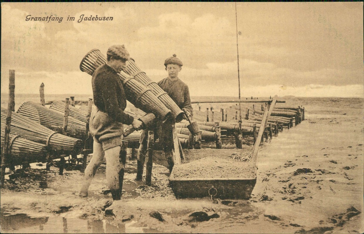 vergrößern: Bildseite historische Ansichtskarte von 1917: Granatfang im Jadebusen Männer:: Schwei Jadebusen-Seefeld