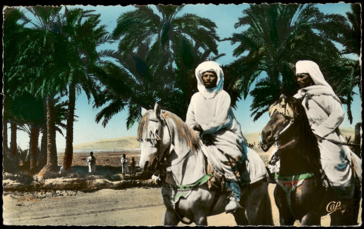 vergrößern: Bildseite historische Ansichtskarte von 1963: Scene et Types Cavaliers Marocains Oasis:: Marokko Allgemein