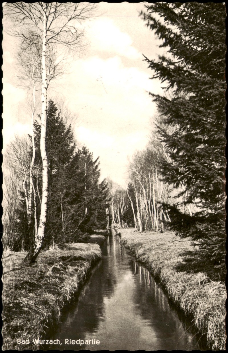 vergrößern: Bildseite historische Ansichtskarte von 1965: Riedpartie - Fotokarte:: Bad Wurzach