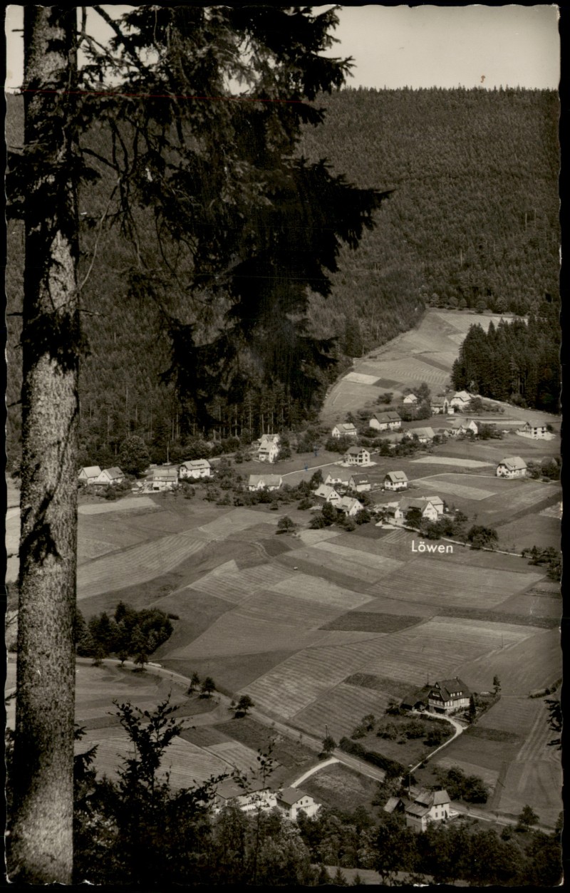 vergrößern: Bildseite historische Ansichtskarte von 1961: Stadt mit Gasthaus Pension Löwen:: Schönmünzach-Baiersbronn