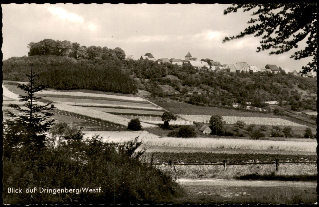 vergrößern: Bildseite historische Ansichtskarte von 1959: Ortsansicht Fernansicht Dringenberg:: Dringenberg-Bad Driburg