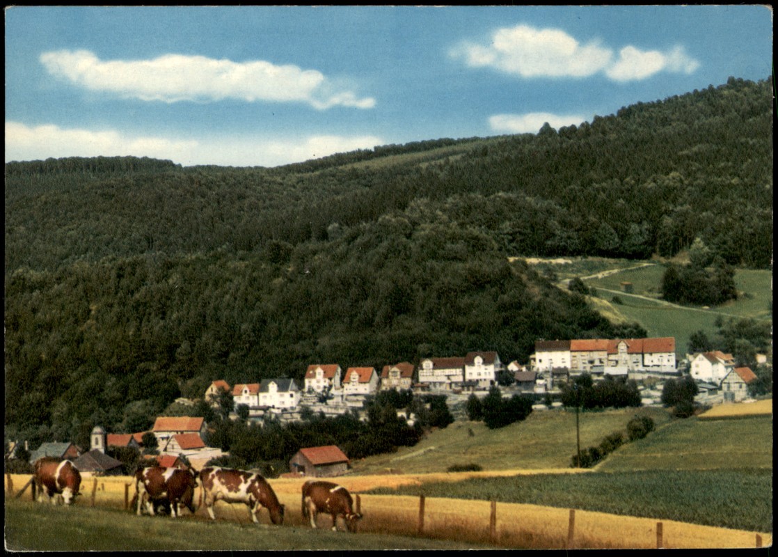 vergrößern: Bildseite historische Ansichtskarte von 1980: Ortspanorama mit Kühen auf Weide, Ortsansicht:: Wichte