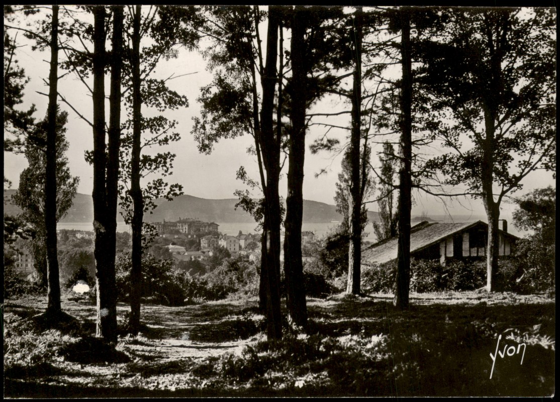 zoom: Image side vintage Postcard from 1950: Le Bois de Saskoénéa (Bses-Pyrénées):: Hendaye