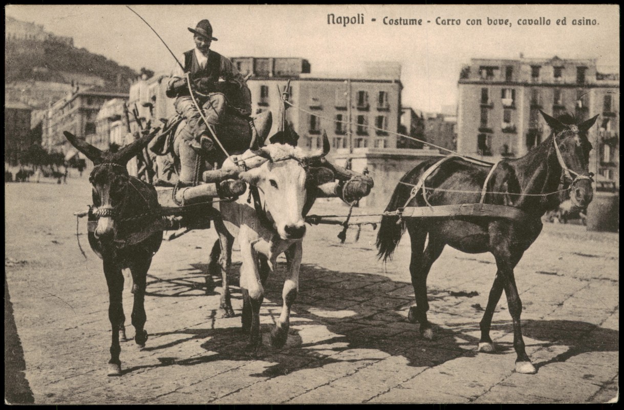 vergrößern: Bildseite historische Ansichtskarte von 1913: Costume Carro con bove, cavallo ed asino.:: Neapel