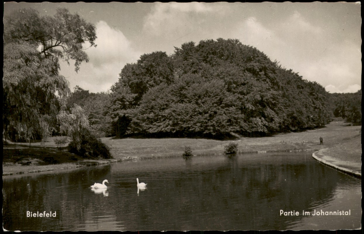 zoom: Image side vintage Postcard from 1960: Partie im Johannistal, Teich mit Schwänen:: Bielefeld