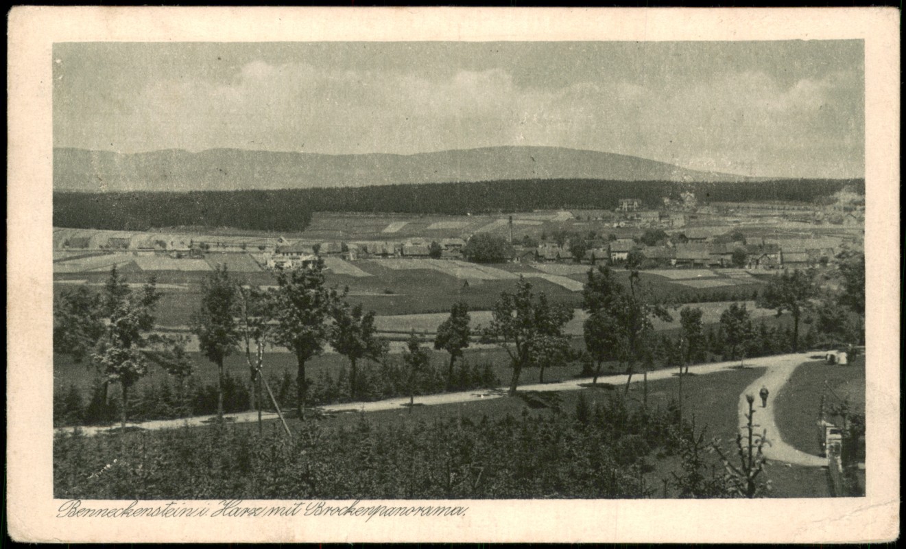 vergrößern: Bildseite historische Ansichtskarte von 1925: Straße Harz mit Brockenpanorama.:: Benneckenstein