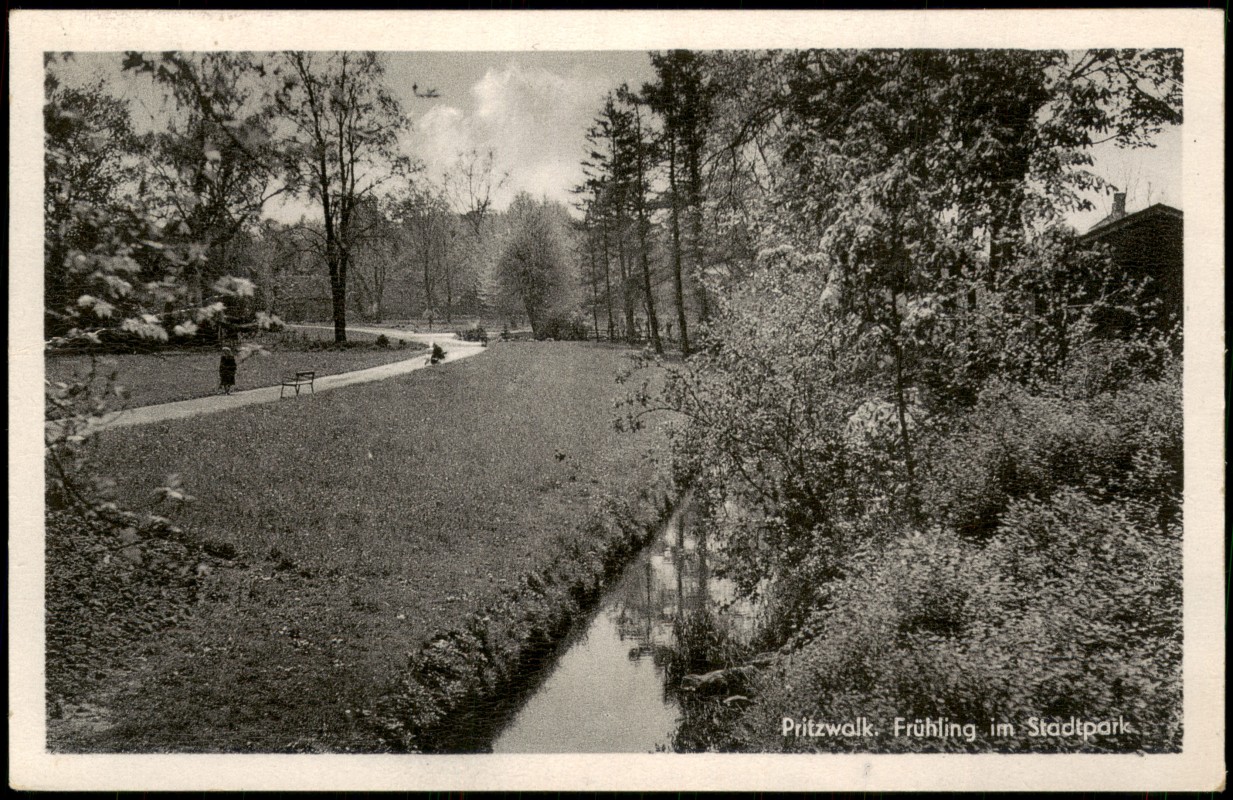 vergrößern: Bildseite historische Ansichtskarte von 1958: Frühling im Stadtpark zur DDR-Zeit:: Pritzwalk