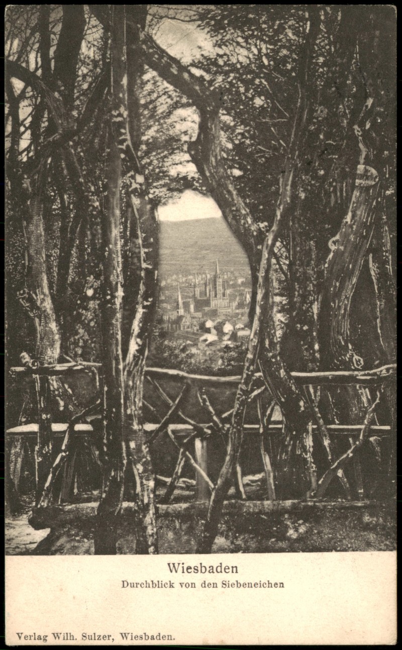 vergrößern: Bildseite historische Ansichtskarte von 1908: Durchblick von den Siebeneichen:: Wiesbaden