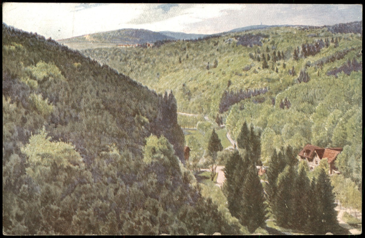 vergrößern: Bildseite historische Ansichtskarte von 1924: Helenental WIRO-KÜNSTLERKARTE:: Bad Wildungen