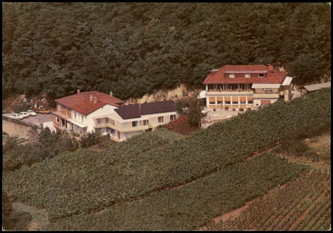 vergrößern: Bildseite historische Ansichtskarte von 1970: Gaststätten-Pension Annahof v. Flugzeug aus, Luftaufnahme:: St. Johann-Albersweiler