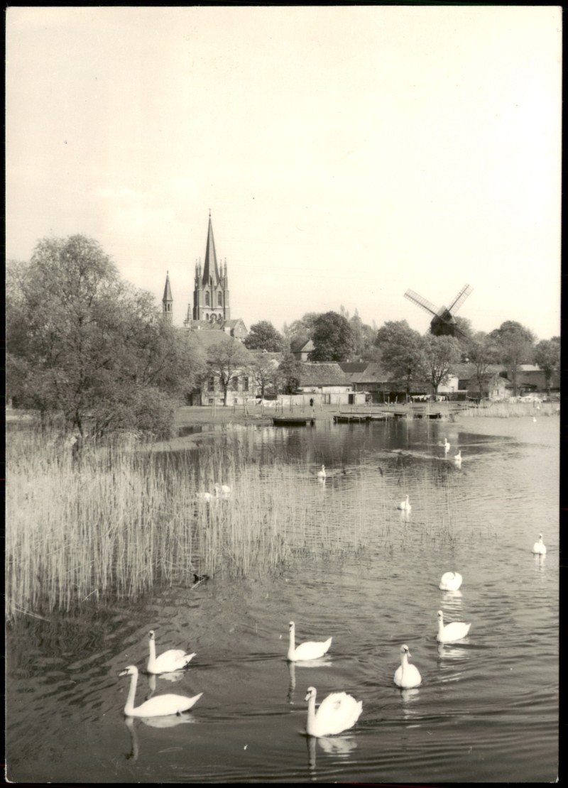 vergrößern: Bildseite historische Ansichtskarte von 1978: DDR AK Inselansicht, Teich Schwäne, Blick zur Windmühle:: Werder (Havel)