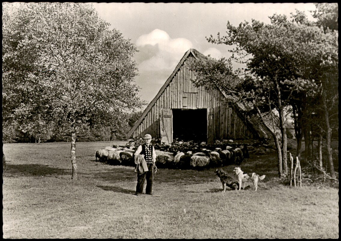 zoom: Image side vintage Postcard from 1971: Gasthof u. Pension Heidelust Herde:: Wesel