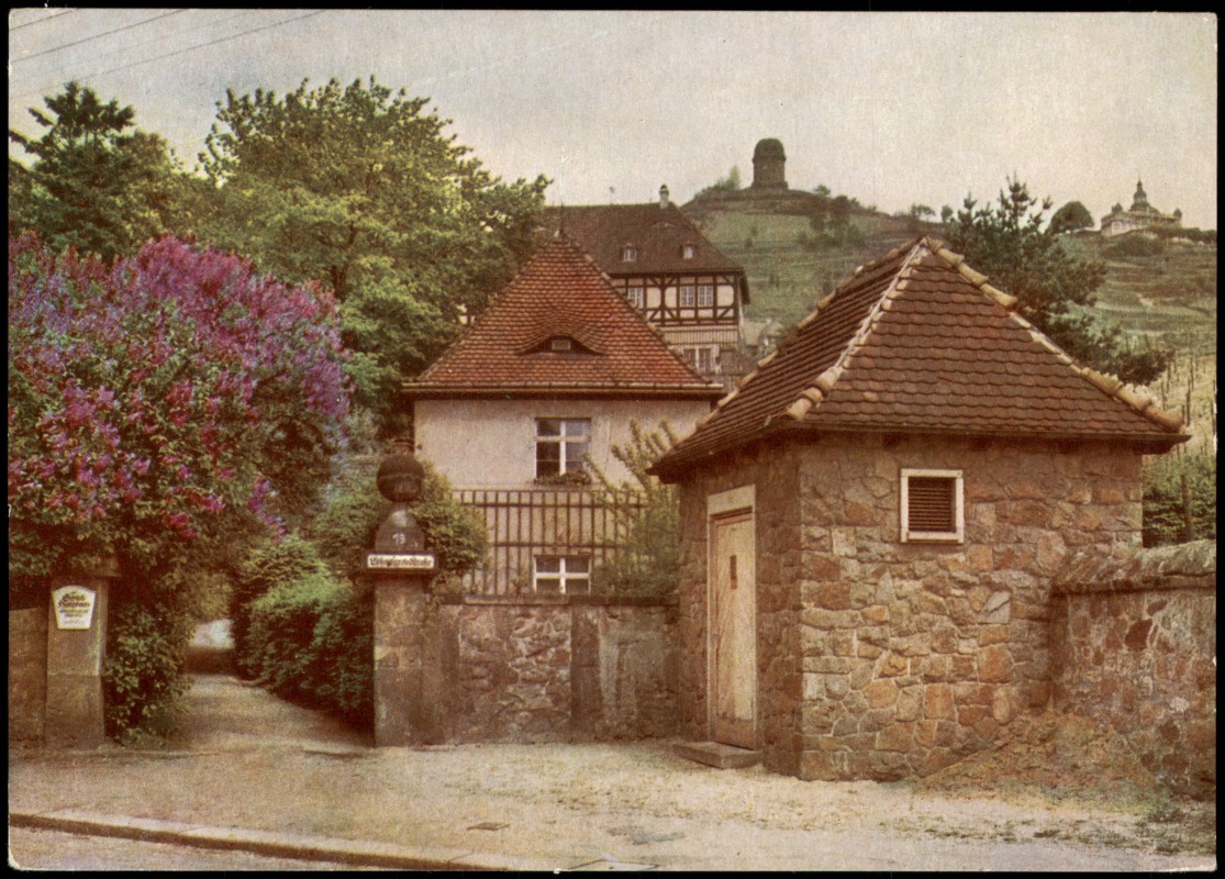 vergrößern: Bildseite historische Ansichtskarte von 1964: DDR AK Lößnitz blüht Aufgang zum Schloß Hoflößnitz:: Radebeul