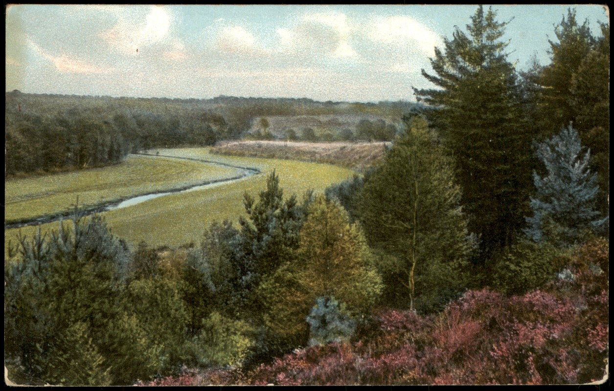 vergrößern: Bildseite historische Ansichtskarte von 1911: Bomlitztal Lüneburger Heide:: Bomlitz