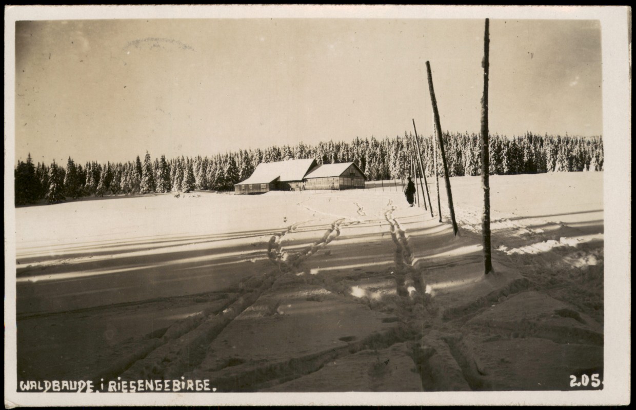 vergrößern: Bildseite historische Ansichtskarte von 1929: WALDBAUDE RIESENGEBIRGE Echtfoto-AK Stimmungsbild Winter:: .Tschechien