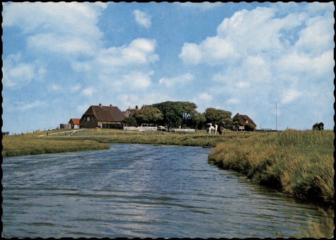 vergrößern: Bildseite historische Ansichtskarte von 1972: Blick auf die Backenswarf:: Hallig Hooge