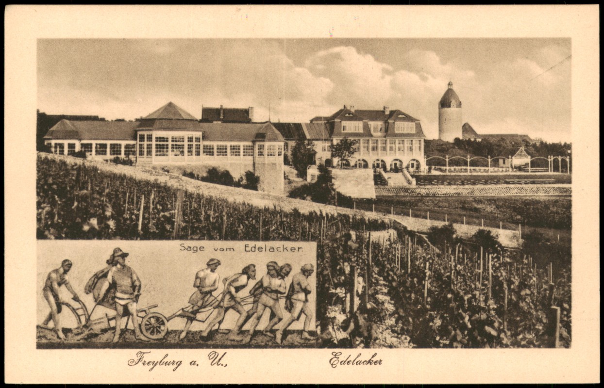 zoom: Image side vintage Postcard from 1920: 2 Bild Edelacker und Weinlese:: Freyburg (Unstrut)
