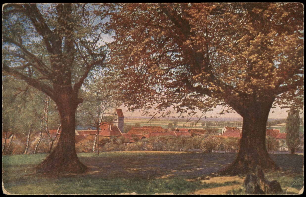 zoom: Image side vintage Postcard from 1916: Stimmungsbild Blick vom Waldesrand auf die Stadt::
