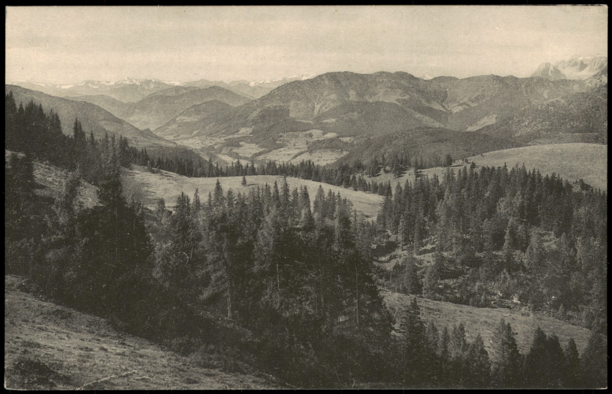 vergrößern: Bildseite historische Ansichtskarte von 1913: Aussicht von der Zwieselalm Zwieselalpe:: Gosau