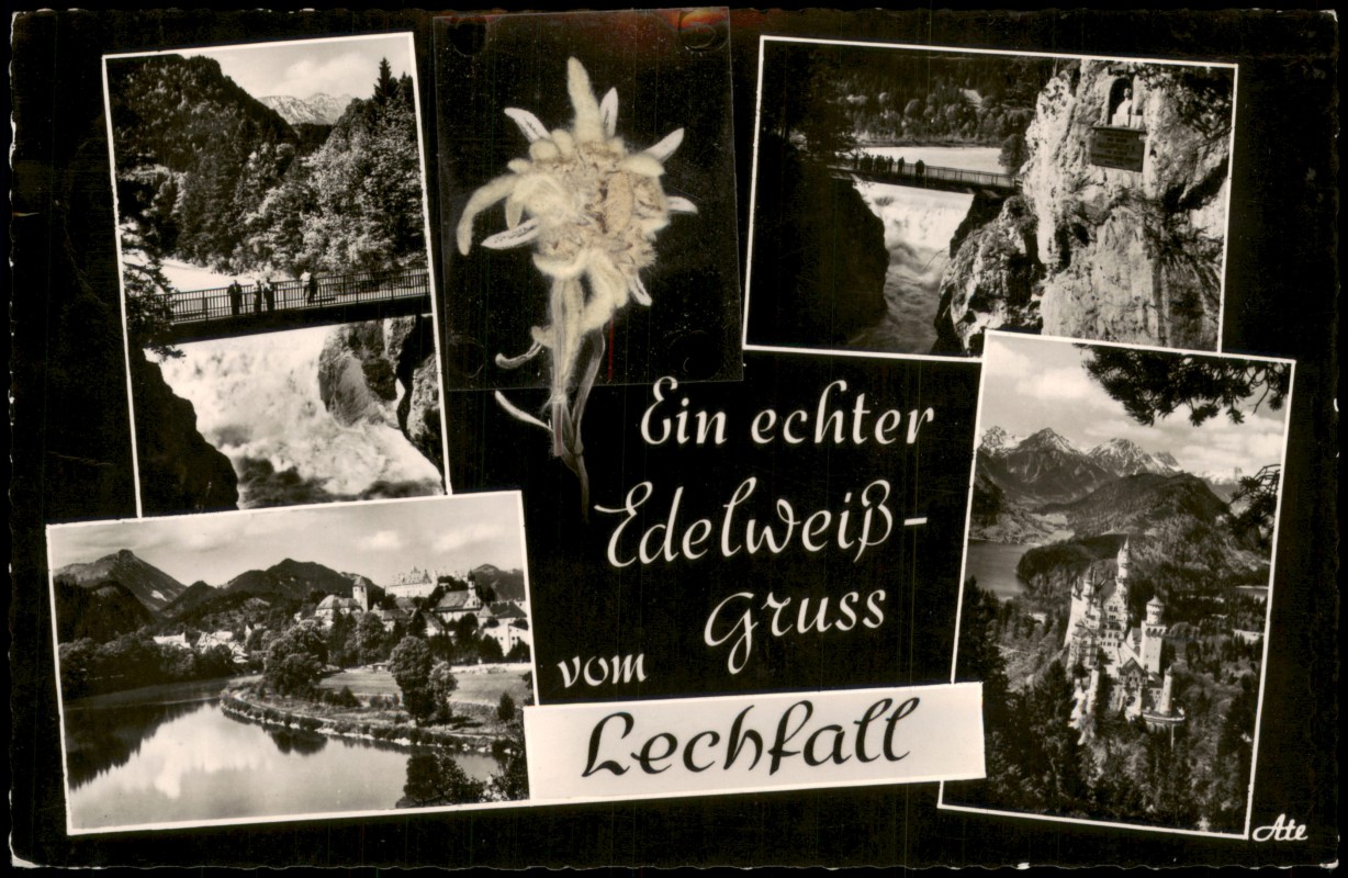 zoom: Image side vintage Postcard from 1961: Aufgeklebtes Edelweiss Lechfall (Wasserfall):: Füssen