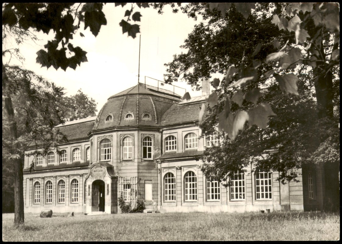vergrößern: Bildseite historische Ansichtskarte von 1974: DDR AK Altenburg Mauritianum Naturkundliches Museum::
